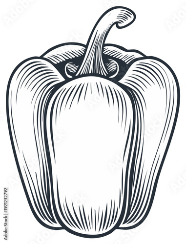 Vintage Engraved Bell Pepper Illustration Classic Woodcut Style Vegetable Art