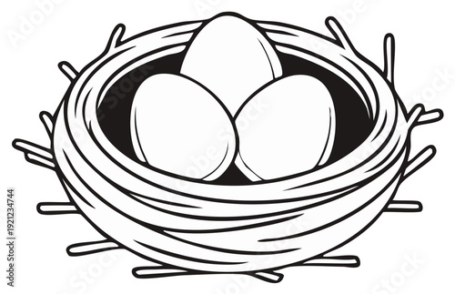 Three smooth pale eggs nestled securely in a detailed twig bird's nest against a dark background
