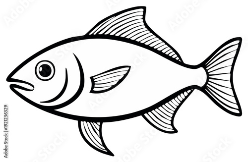 Fish Line Drawing Black and White, Marine Animal Illustration, Fins and Tails, Simple Outline, Aquatic Life