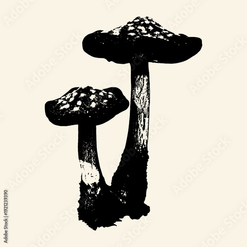 Vintage Mushroom Ink Drawing with Spotted Caps