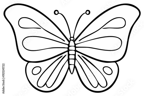 Simple Outline Butterfly Insect Illustration Decorative Element for Designs