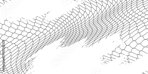 Black snake skin pattern isolated on white background eps 10