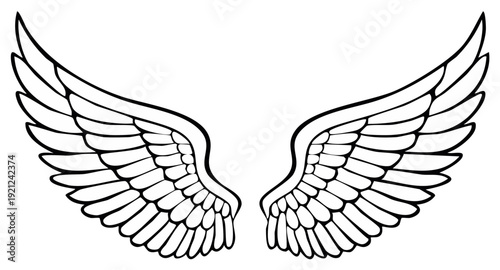 Elegant White Feathered Angel Wings Spreading Outward