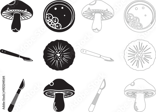 Silhouette mycology research mushrooms fungi petri