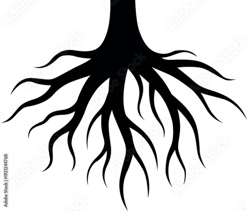 Black silhouette of tree roots spreading downwards in a graphic style