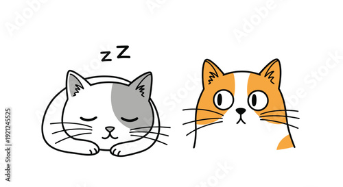 Illustration of two cute cartoon cats with one sleeping peacefully and the other looking surprised with wide eyes.