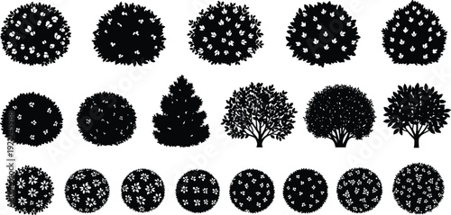 Ornamental flowering tree and bush silhouettes collection, garden landscape plants isolated for design projects, flat vector illustration set