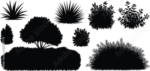 Tree and bush silhouette collection, black garden plants shrubs grass hedge isolated set for landscape design flat vector illustration
