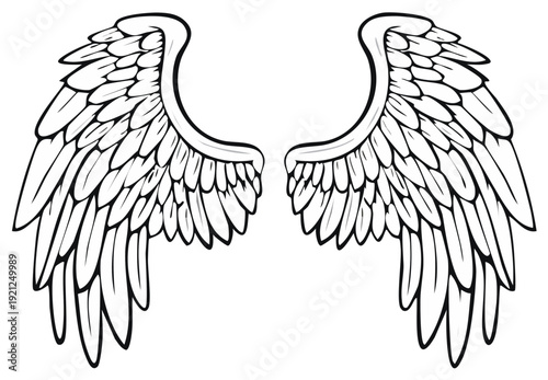 Black and white angel wings illustration, isolated on white background