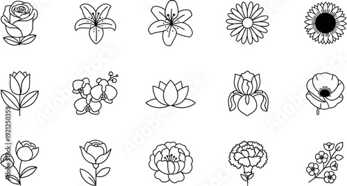 Black and white line of various flowers