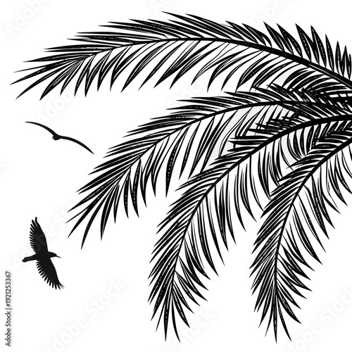 Palm tree leaves and flying birds in a tropical setting.