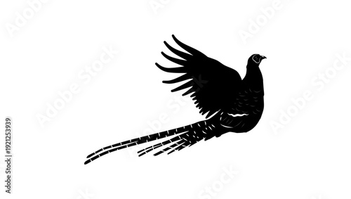 flying pheasant, black isolated silhouette