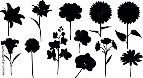 Black silhouettes of various flowers on white background 1