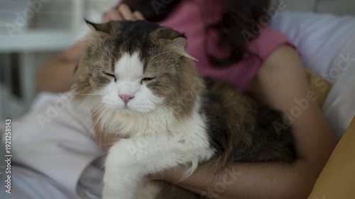 Wallpaper Mural The pretty woman is take care her cat at home. Pet, lifestyle, leisure activity. Torontodigital.ca