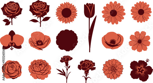 Various flowers in dark red and orange on white background rose sunflower tulip orchid