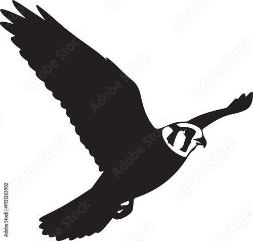 Please provide the sentence and tags so I can create the image name