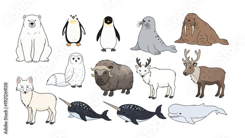 Arctic Wildlife Collection: A curated collection of captivating arctic wildlife illustrations, showcasing the diversity of creatures thriving in icy landscapes.  