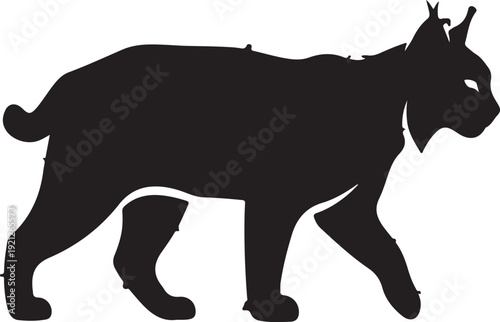 Please provide the sentence and tags so I can create the image name