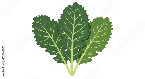 Graphic illustration showcasing three overlapping deep green leafy vegetable sprouts with prominent light green veins