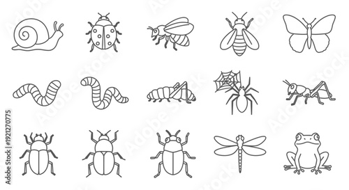 Collection of Outline Insect and Small Animal Icons on Isolated White Background.