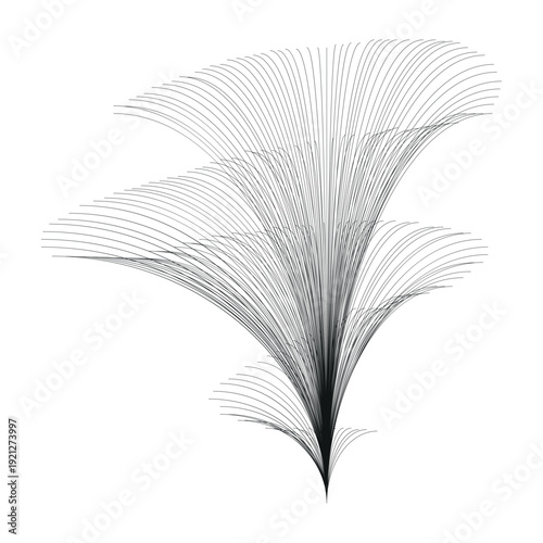 Elegant black feather illustration on white background