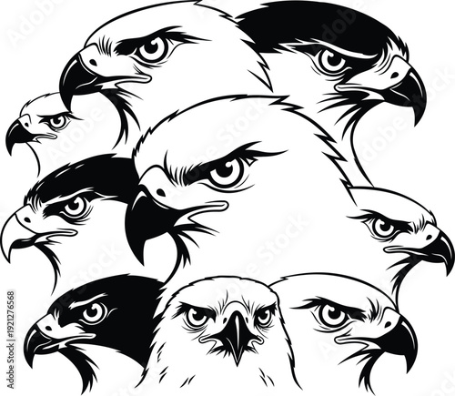 Collection of eagle heads in black and white