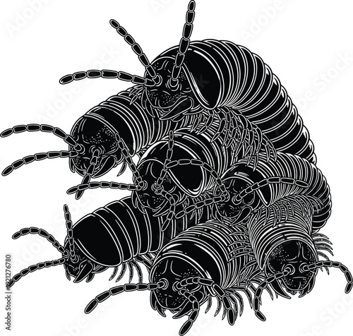A cluster of ticks in a black and white illustration