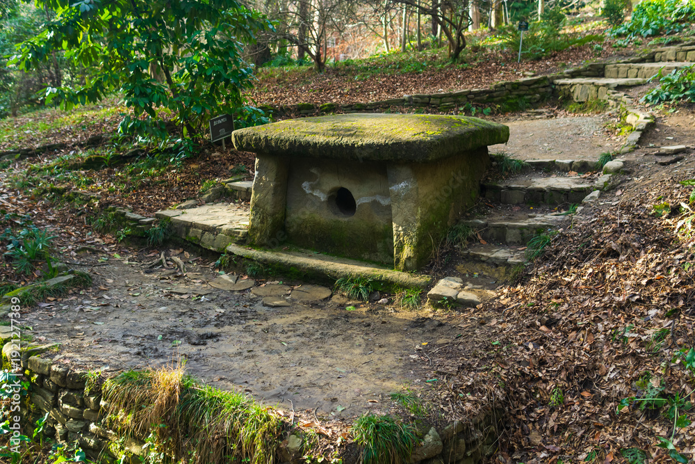 Fototapeta premium ancient megalith, dolmen in the park