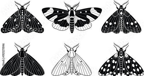 Black and white moth silhouette set with butterfly wing patterns, vintage nature illustrations for bohemian decor, celestial insects and mystical wings.