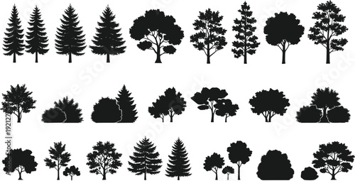 Forest tree and bush silhouettes collection set, woodland garden plants isolated for landscape design, flat vector illustration