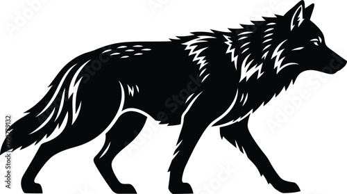A black wolf walking to the right with its head up and fur texture visible