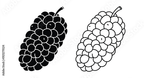 Two mulberry fruits one dark and one light in silhouette
