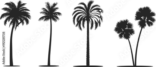 Realistic tropical palm tree silhouettes set, coconut beach landscape plants collection, exotic island botanical elements, isolated vector illustration
