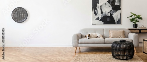 Relaxing dog on modern couch in minimalist living room stylish home decor indoor environment serene viewpoint cozy concept