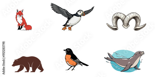 Wildlife illustrations of arctic animals and birds