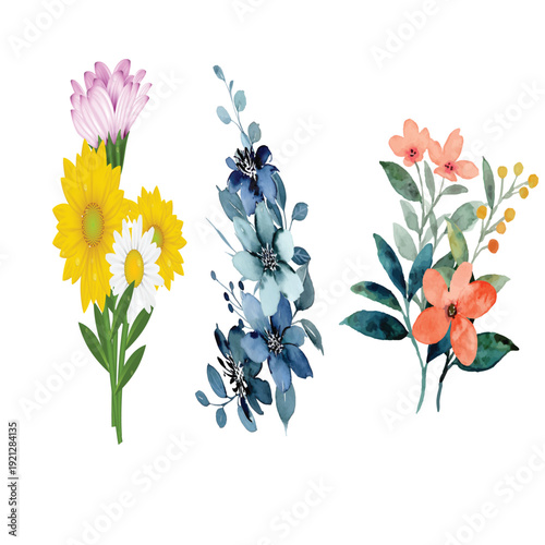 illustrations are designed with a clean white background,