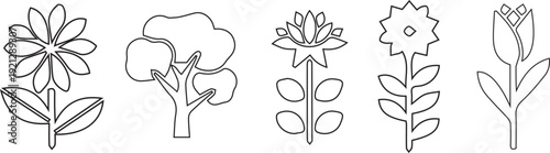 Botanical line drawings of four flowering plants