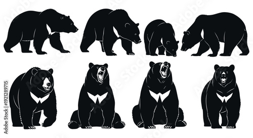 various black bear and asian moon bear silhouettes showing walking standing sitting and roaring poses isolated vector graphic.