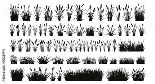 various black grass reed and cattail silhouettes for natural wetland borders botanical illustrations and organic graphic design elements.
