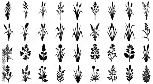 vector collection of diverse plant silhouettes depicting natural flora for botanical illustrations ecology farming and garden design.