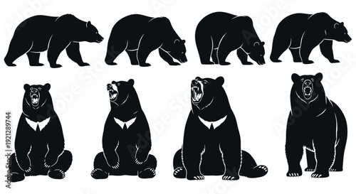 vector black bear silhouettes collection walking standing roaring isolated on white for nature and wildlife design.