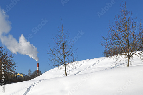 Snow-covered Moscow landscaped park after heavy snowfall. Moscow District