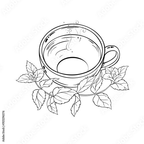 Cup of Stevia Tea aroma beverage Outline Illustration. Vector isolated for Design and Decoration for Cafeteria, Posters, Banners, Cards.