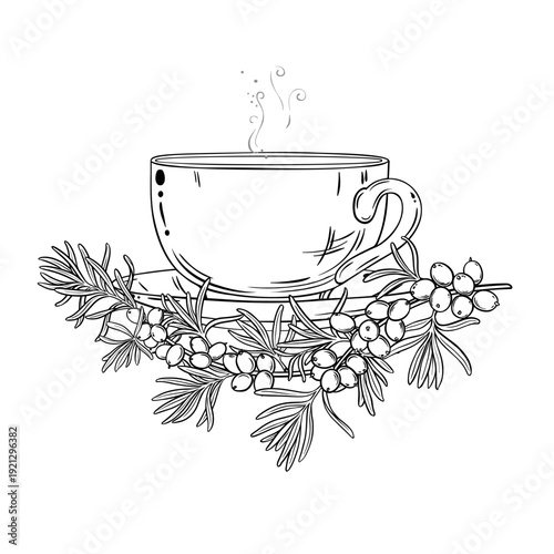Cup of Sea Buckthorn Tea aroma beverage Outline Illustration. Vector isolated for Design and Decoration for Cafeteria, Posters, Banners, Cards.
