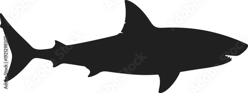 Silhouette Of A Great White Shark With Open Mouth And Sharp Teeth marine life ocean