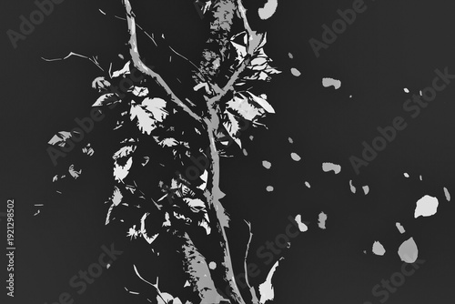 AUTUMN TIME - Colorful tree leaves in the sun rays