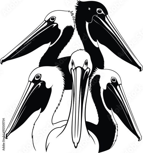 Three pelicans in a triangular formation