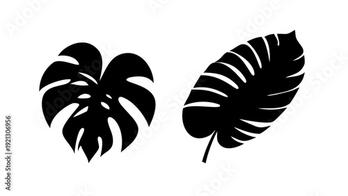 Tropical Monstera and Palm Leaf Silhouette Vector - Exotic Jungle Botanical Plant Graphic