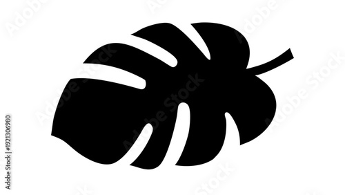 Tropical Monstera and Palm Leaf Silhouette Vector - Exotic Jungle Botanical Plant Graphic
