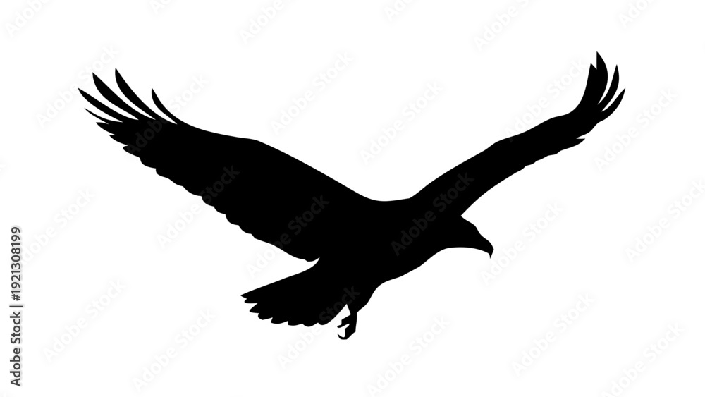 Obraz premium Bald Eagle Soaring Silhouette Vector - Majestic Flying Bird of Prey National Symbol Graphic